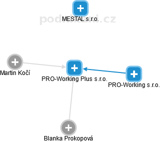 PRO-Working Plus s.r.o. - náhled vizuálního zobrazení vztahů obchodního rejstříku