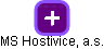 MS Hostivice, a.s. - náhled vizuálního zobrazení vztahů obchodního rejstříku