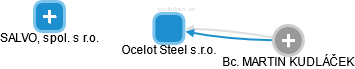 Ocelot Steel s.r.o. - náhled vizuálního zobrazení vztahů obchodního rejstříku