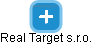 Real Target s.r.o. - náhled vizuálního zobrazení vztahů obchodního rejstříku