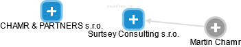 Surtsey Consulting s.r.o. - náhled vizuálního zobrazení vztahů obchodního rejstříku