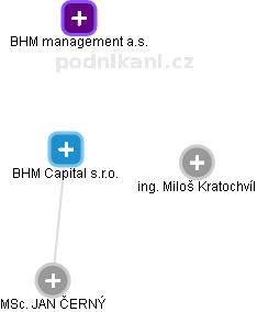 BHM Capital s.r.o. - náhled vizuálního zobrazení vztahů obchodního rejstříku