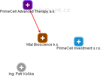 Vital Bioscience k.s. - náhled vizuálního zobrazení vztahů obchodního rejstříku