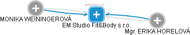 EM Studio Fit&Body s.r.o. - náhled vizuálního zobrazení vztahů obchodního rejstříku