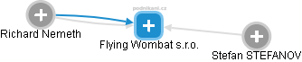 Flying Wombat s.r.o. - náhled vizuálního zobrazení vztahů obchodního rejstříku