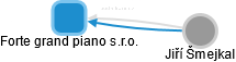 Forte grand piano s.r.o. - náhled vizuálního zobrazení vztahů obchodního rejstříku