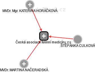 Česká asociace felinní medicíny, z.s. - náhled vizuálního zobrazení vztahů obchodního rejstříku