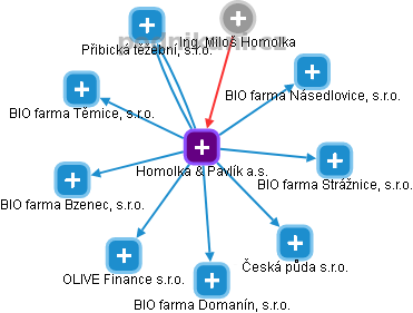 Homolka & Pavlík a.s. - náhled vizuálního zobrazení vztahů obchodního rejstříku