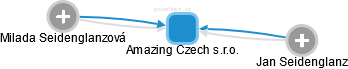 Amazing Czech s.r.o. - náhled vizuálního zobrazení vztahů obchodního rejstříku