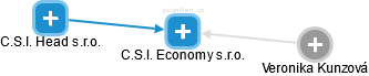C.S.I. Economy s.r.o. - náhled vizuálního zobrazení vztahů obchodního rejstříku
