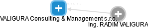 VALIGURA Consulting & Management s.r.o. - náhled vizuálního zobrazení vztahů obchodního rejstříku