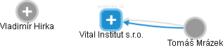 Vital Institut s.r.o. - náhled vizuálního zobrazení vztahů obchodního rejstříku