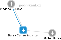 Bursa Consulting s.r.o. - náhled vizuálního zobrazení vztahů obchodního rejstříku