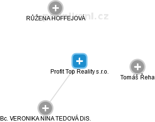Profit Top Reality s.r.o. - náhled vizuálního zobrazení vztahů obchodního rejstříku