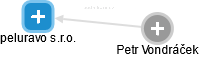 peluravo s.r.o. - náhled vizuálního zobrazení vztahů obchodního rejstříku