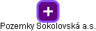 Pozemky Sokolovská a.s. - náhled vizuálního zobrazení vztahů obchodního rejstříku