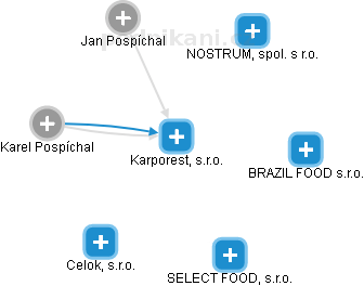 Karporest, s.r.o. - náhled vizuálního zobrazení vztahů obchodního rejstříku