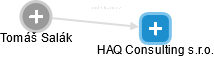 HAQ Consulting s.r.o. - náhled vizuálního zobrazení vztahů obchodního rejstříku