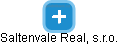 Saltenvale Real, s.r.o. - náhled vizuálního zobrazení vztahů obchodního rejstříku