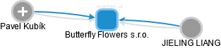 Butterfly Flowers s.r.o. - náhled vizuálního zobrazení vztahů obchodního rejstříku