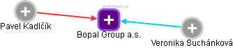 Bopal Group a.s. - náhled vizuálního zobrazení vztahů obchodního rejstříku