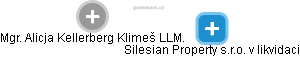 Silesian Property s.r.o. v likvidaci - náhled vizuálního zobrazení vztahů obchodního rejstříku