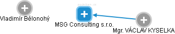 MSG Consulting s.r.o. - náhled vizuálního zobrazení vztahů obchodního rejstříku