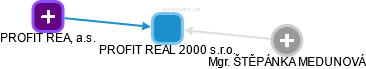 PROFIT REAL 2000 s.r.o. - náhled vizuálního zobrazení vztahů obchodního rejstříku