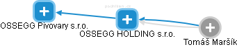 OSSEGG HOLDING s.r.o. - náhled vizuálního zobrazení vztahů obchodního rejstříku