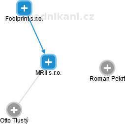 MRII s.r.o. - náhled vizuálního zobrazení vztahů obchodního rejstříku