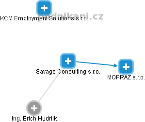 Savage Consulting s.r.o. - náhled vizuálního zobrazení vztahů obchodního rejstříku