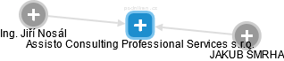 Assisto Consulting Professional Services s.r.o. - náhled vizuálního zobrazení vztahů obchodního rejstříku
