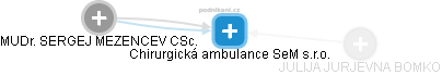 Chirurgická ambulance SeM s.r.o. - náhled vizuálního zobrazení vztahů obchodního rejstříku