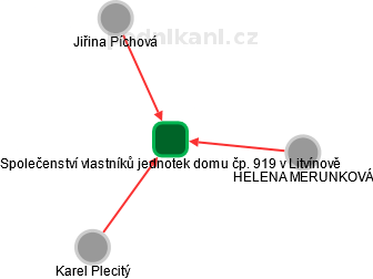 Společenství vlastníků jednotek domu čp. 919 v Litvínově - náhled vizuálního zobrazení vztahů obchodního rejstříku