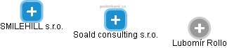 Soald consulting s.r.o. - náhled vizuálního zobrazení vztahů obchodního rejstříku