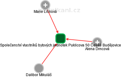 Společenství vlastníků bytových jednotek Puklicova 50 České Budějovice - náhled vizuálního zobrazení vztahů obchodního rejstříku