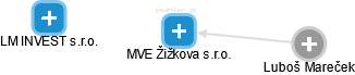 MVE Žižkova s.r.o. - náhled vizuálního zobrazení vztahů obchodního rejstříku