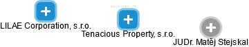 Tenacious Property, s.r.o. - náhled vizuálního zobrazení vztahů obchodního rejstříku