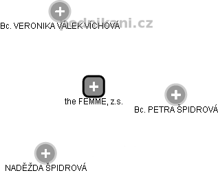 the FEMME, z.s. - náhled vizuálního zobrazení vztahů obchodního rejstříku
