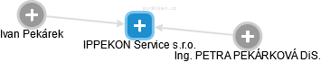 IPPEKON Service s.r.o. - náhled vizuálního zobrazení vztahů obchodního rejstříku