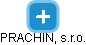 PRACHIN, s.r.o. - náhled vizuálního zobrazení vztahů obchodního rejstříku