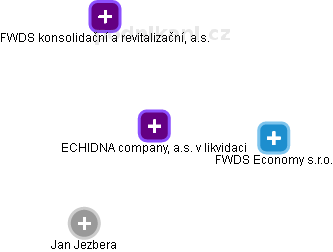 ECHIDNA company, a.s. v likvidaci - náhled vizuálního zobrazení vztahů obchodního rejstříku