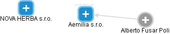 Aemilia s.r.o. - náhled vizuálního zobrazení vztahů obchodního rejstříku