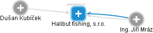 Halibut fishing, s.r.o. - náhled vizuálního zobrazení vztahů obchodního rejstříku