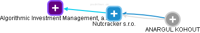 Nutcracker s.r.o. - náhled vizuálního zobrazení vztahů obchodního rejstříku