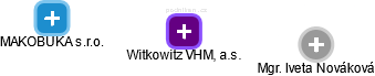 Witkowitz VHM, a.s. - náhled vizuálního zobrazení vztahů obchodního rejstříku