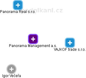 Panorama Management a.s. - náhled vizuálního zobrazení vztahů obchodního rejstříku