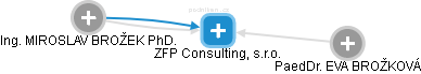ZFP Consulting, s.r.o. - náhled vizuálního zobrazení vztahů obchodního rejstříku