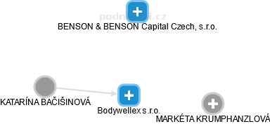 Bodywellex s.r.o. - náhled vizuálního zobrazení vztahů obchodního rejstříku