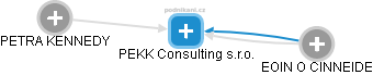 PEKK Consulting s.r.o. - náhled vizuálního zobrazení vztahů obchodního rejstříku